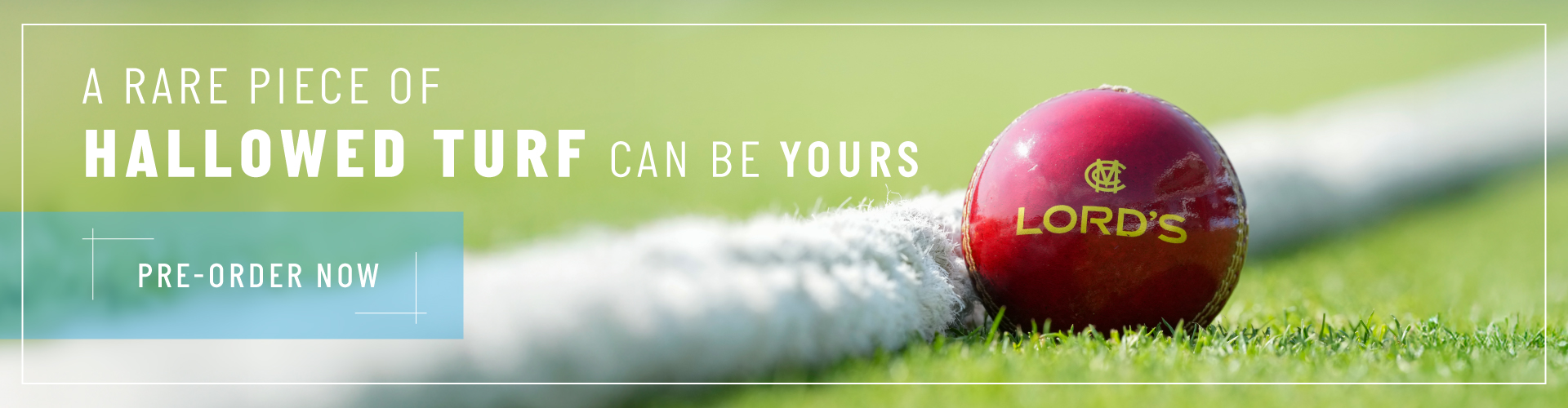 R087_Turf-sale_email_1920x500-(1).jpg R087_Turf-sale_email_1920x500-(1).jpg