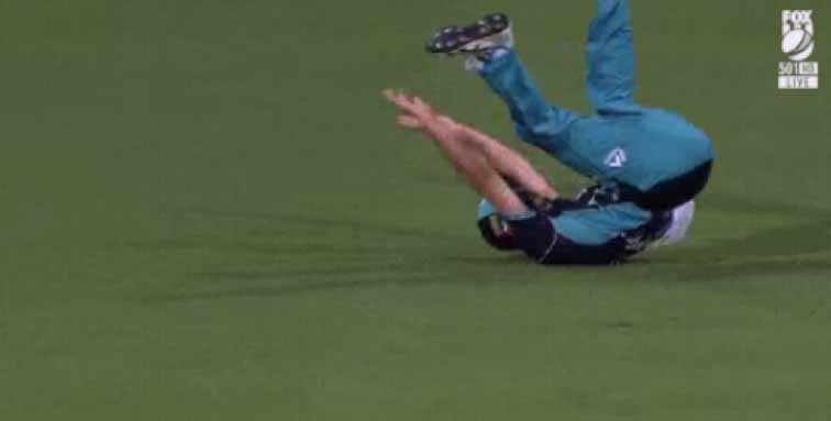 The fielder is in such an unusual position that it is extremely difficult for any umpire to judge